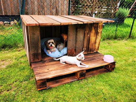 Diy dog house out of pallets - The dog house on this page was created for a small or average sized dog. You can scale the size smaller or larger as needed to accommodate your own dog. The dog house should be big enough to …